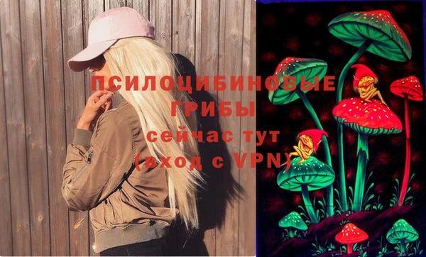 2c-b Волосово