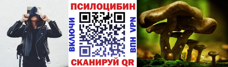 Псилоцибиновые грибы GOLDEN TEACHER  наркотики  Балаково 